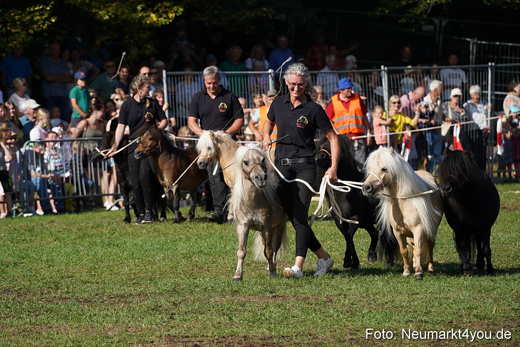 Pferde und Fohlenschau 2022 0076 